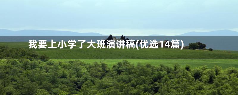 我要上小学了大班演讲稿(优选14篇)