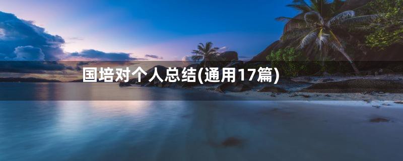 国培对个人总结(通用17篇)