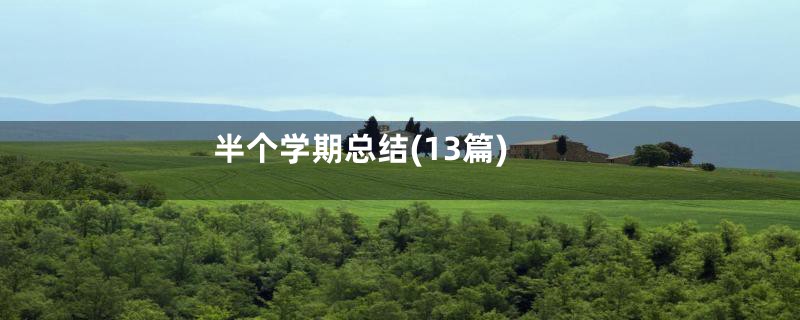 半个学期总结(13篇)