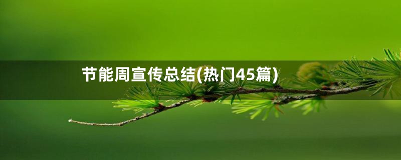 节能周宣传总结(热门45篇)