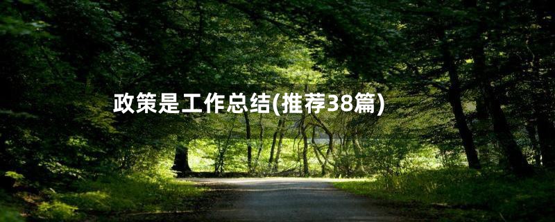 政策是工作总结(推荐38篇)
