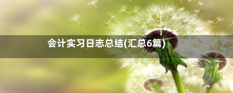 会计实习日志总结(汇总6篇)