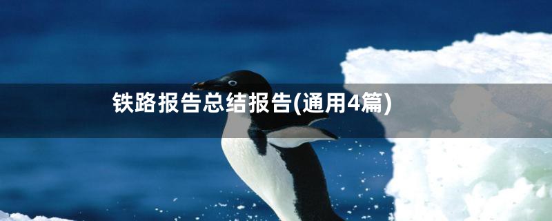 铁路报告总结报告(通用4篇)