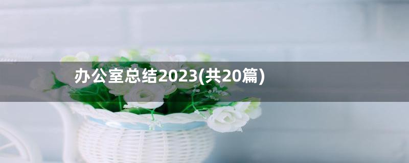 办公室总结2023(共20篇)