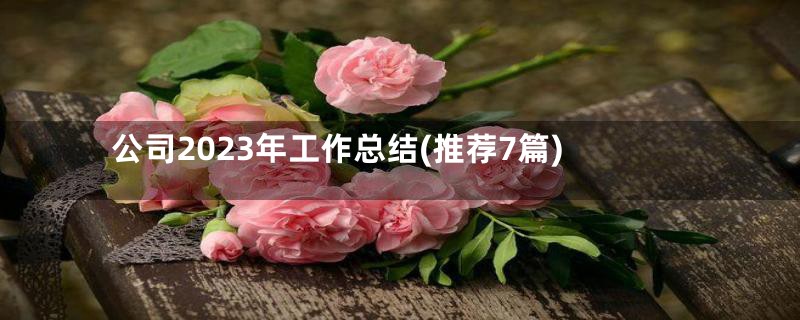 公司2023年工作总结(推荐7篇)