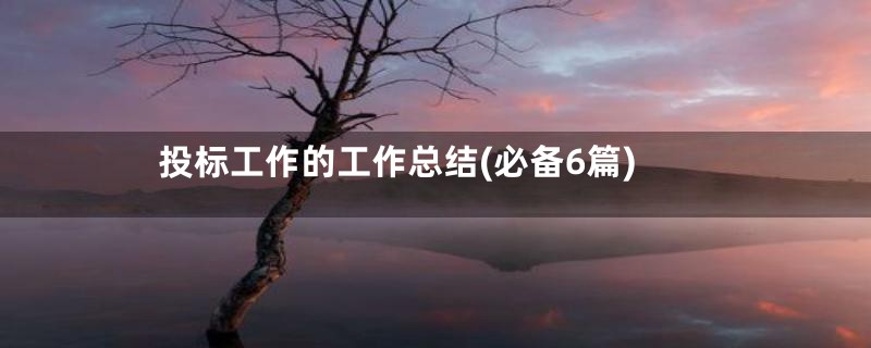 投标工作的工作总结(必备6篇)
