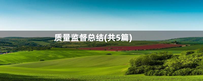 质量监督总结(共5篇)