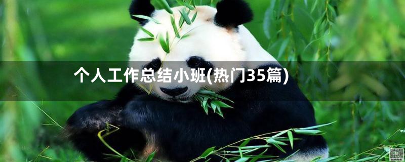个人工作总结小班(热门35篇)