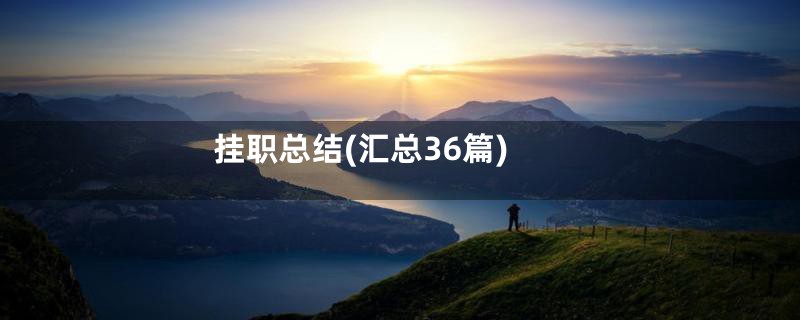 挂职总结(汇总36篇)