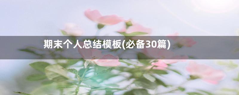 期末个人总结模板(必备30篇)