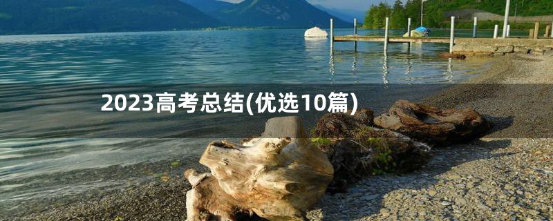 2023高考总结(优选10篇)