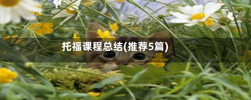 托福课程总结(推荐5篇)