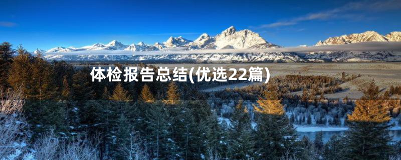 体检报告总结(优选22篇)