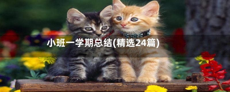 小班一学期总结(精选24篇)