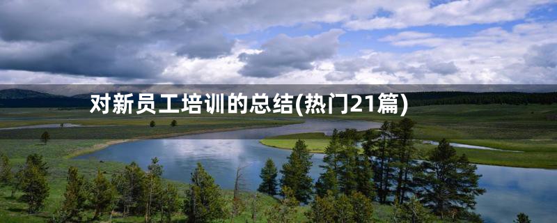 对新员工培训的总结(热门21篇)