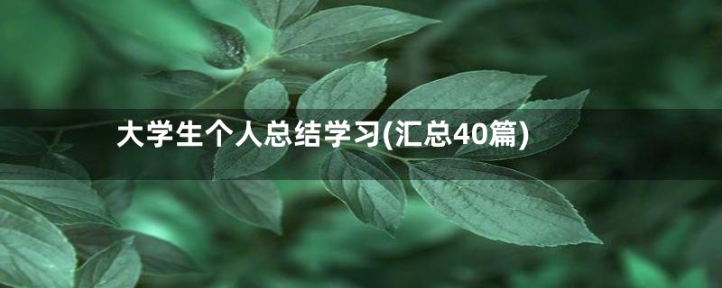 大学生个人总结学习(汇总40篇)