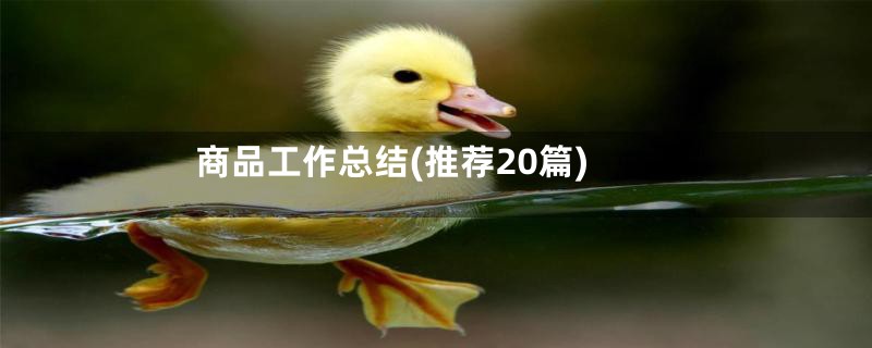 商品工作总结(推荐20篇)