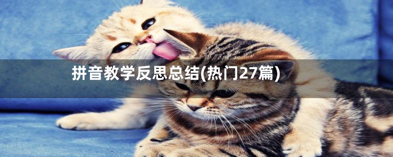 拼音教学反思总结(热门27篇)