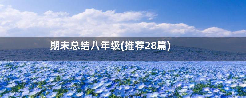 期末总结八年级(推荐28篇)