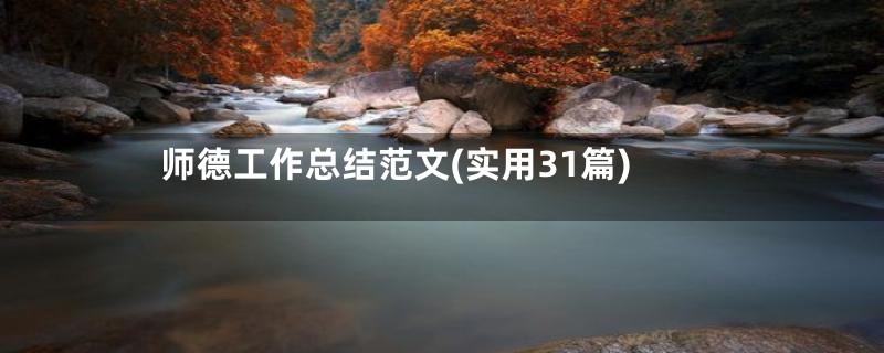 师德工作总结范文(实用31篇)