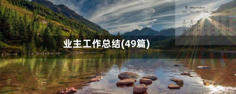 业主工作总结(49篇)