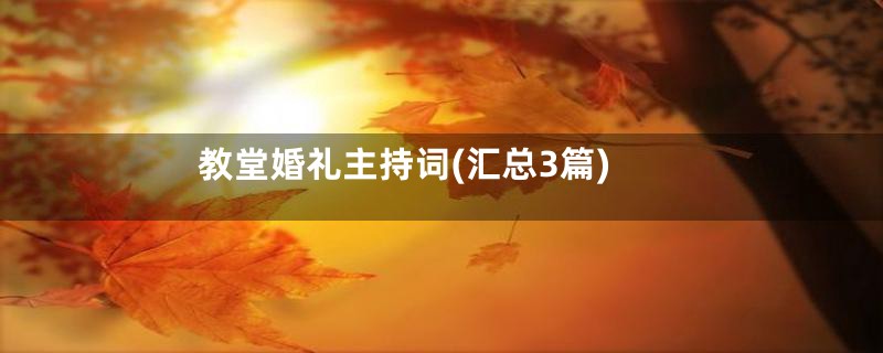 教堂婚礼主持词(汇总3篇)