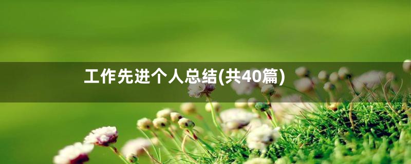 工作先进个人总结(共40篇)