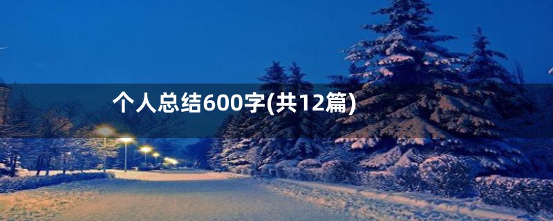 个人总结600字(共12篇)