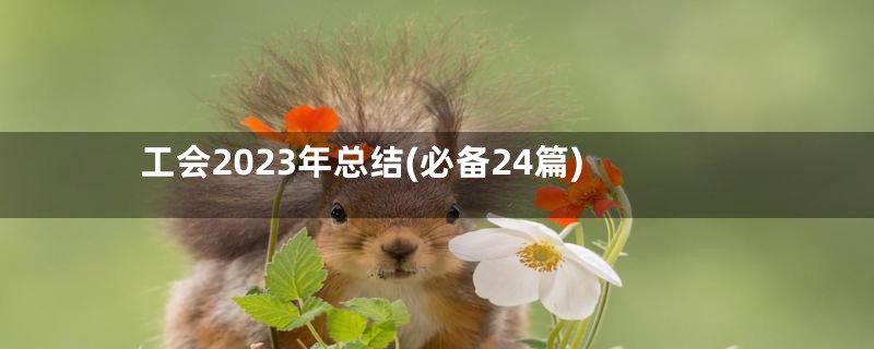 工会2023年总结(必备24篇)