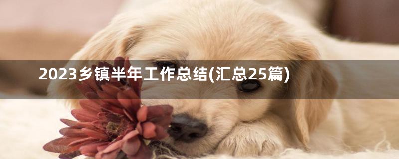 2023乡镇半年工作总结(汇总25篇)