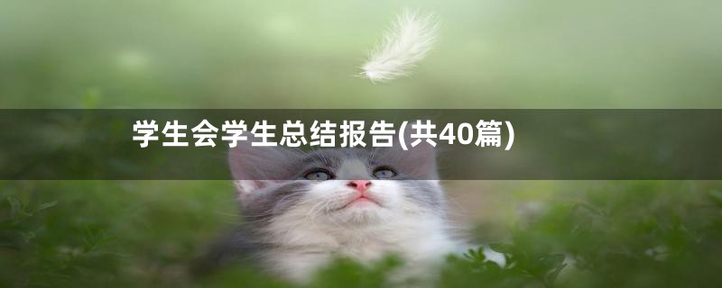 学生会学生总结报告(共40篇)