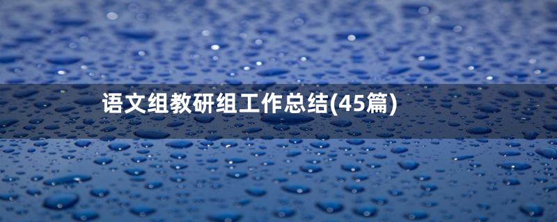 语文组教研组工作总结(45篇)