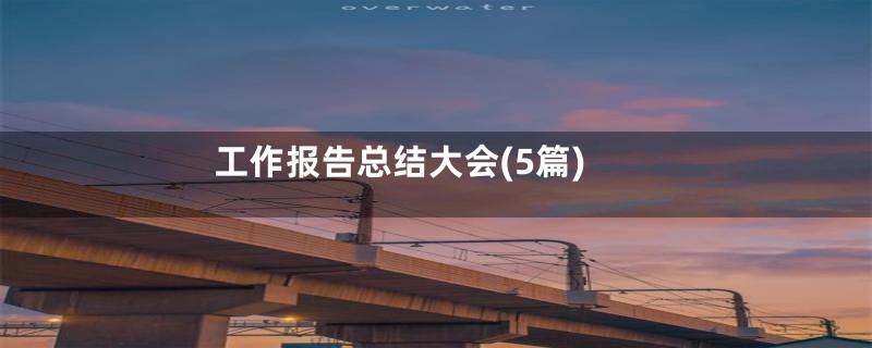 工作报告总结大会(5篇)
