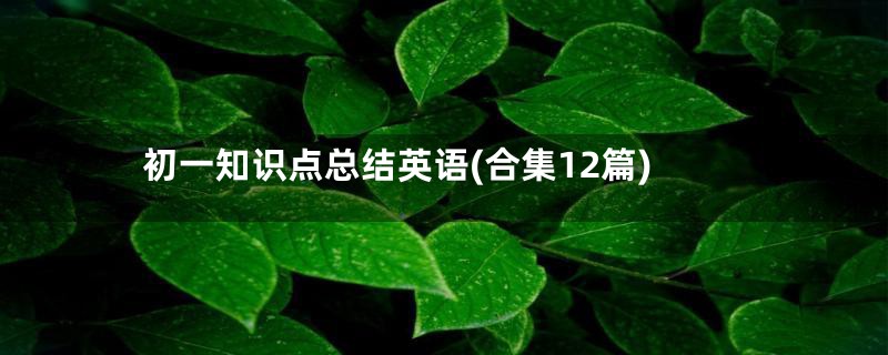 初一知识点总结英语(合集12篇)