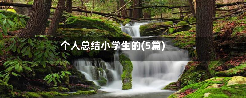个人总结小学生的(5篇)