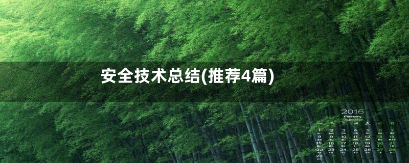 安全技术总结(推荐4篇)