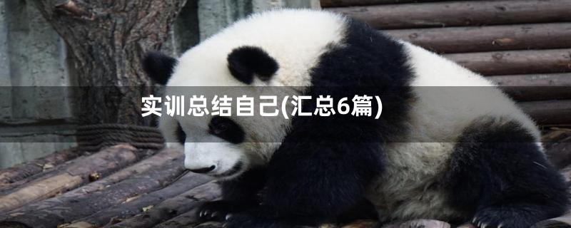 实训总结自己(汇总6篇)