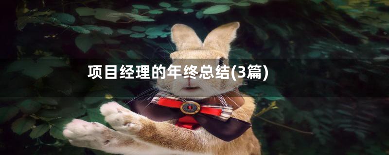 项目经理的年终总结(3篇)