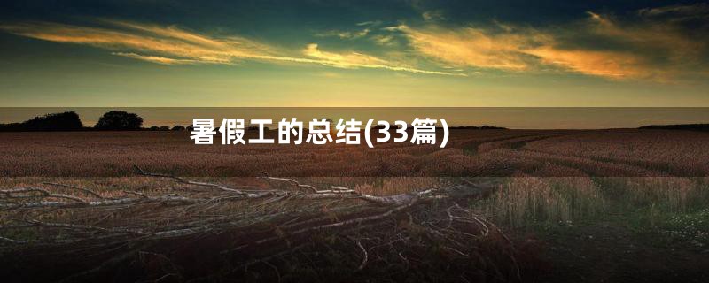 暑假工的总结(33篇)