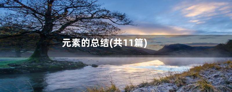 元素的总结(共11篇)