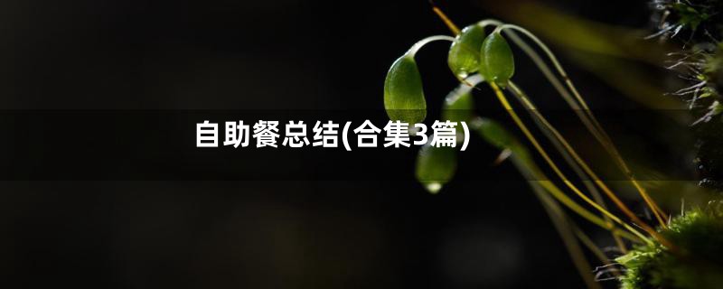 自助餐总结(合集3篇)