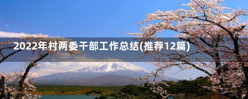 2022年村两委干部工作总结(推荐12篇)