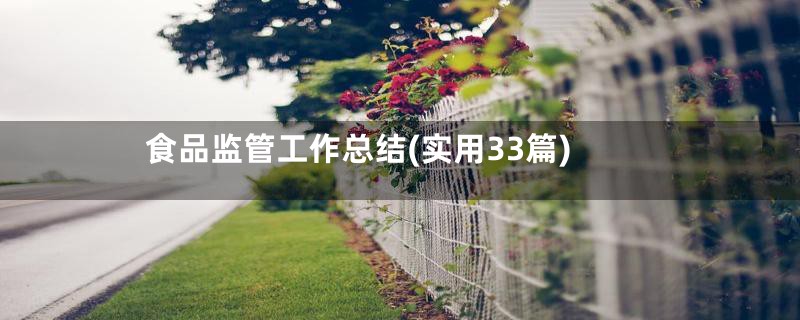 食品监管工作总结(实用33篇)