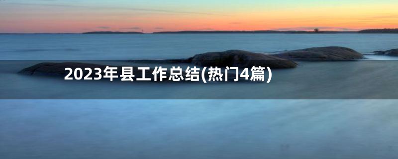 2023年县工作总结(热门4篇)