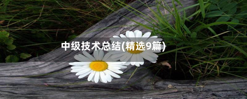 中级技术总结(精选9篇)