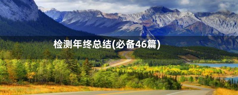 检测年终总结(必备46篇)