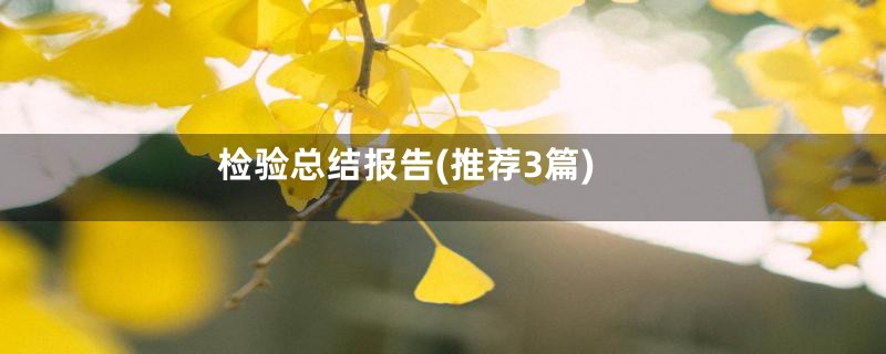 检验总结报告(推荐3篇)