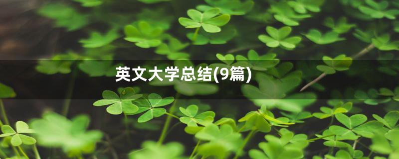 英文大学总结(9篇)