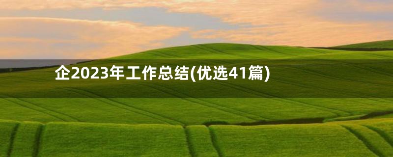 企2023年工作总结(优选41篇)