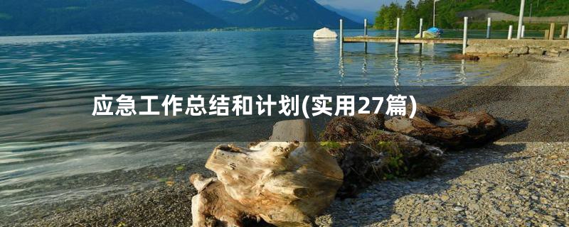 应急工作总结和计划(实用27篇)